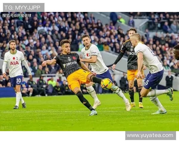 布赖顿主场迎战热刺谁能在英超赛场上笑到最后